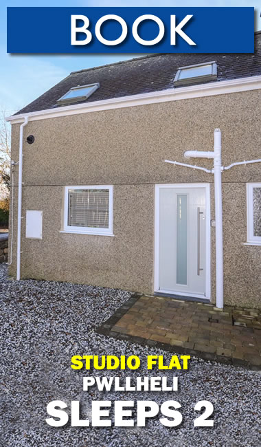 images/TYNFRYDD2x.jpg#joomlaImage://local-images/TYNFRYDD2x.jpg?width=380&height=650