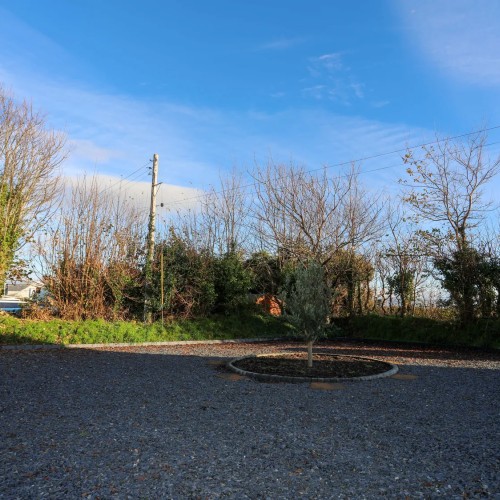 Outdoor area at Tyn Fridd Studio